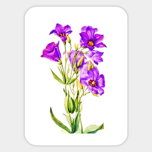 Texas Bluebells Watercolor Painting Sticker